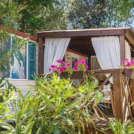 Resort Standard Mobile Home 3